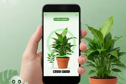 User taking a photo of a plant for identification using PlantSpotify