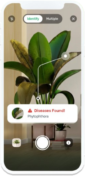 PlantSpotify mobile app showing plant identification and care features